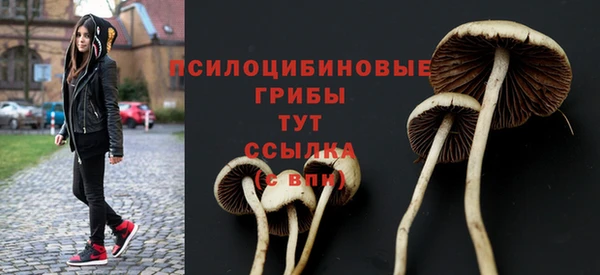 эйфоретик Вязники