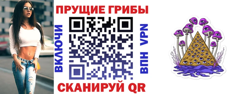 где купить наркотик  Королёв  Псилоцибиновые грибы прущие грибы 